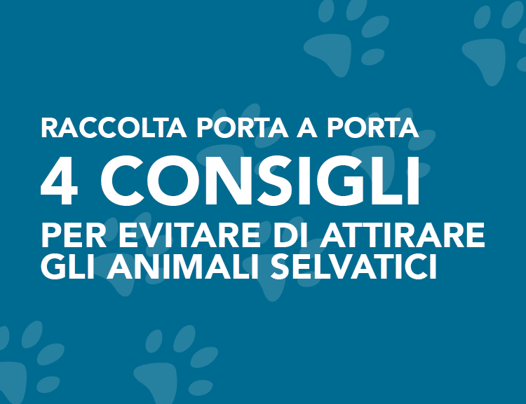 Differenziata nel comune di Pomarolo: 4 consigli per evitare di attirare gli animali selvatici